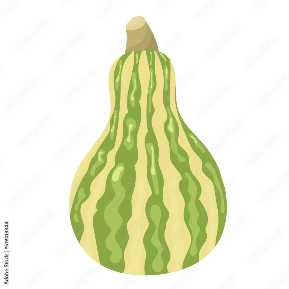 Naklejka premium pumpkin green in flat style, isolated, vector