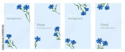 Cornflowers background template. Set of templates for cards, banners, posters, covers, or websites.  Flat illustration. Social media and stories and post background template with space for copy text.