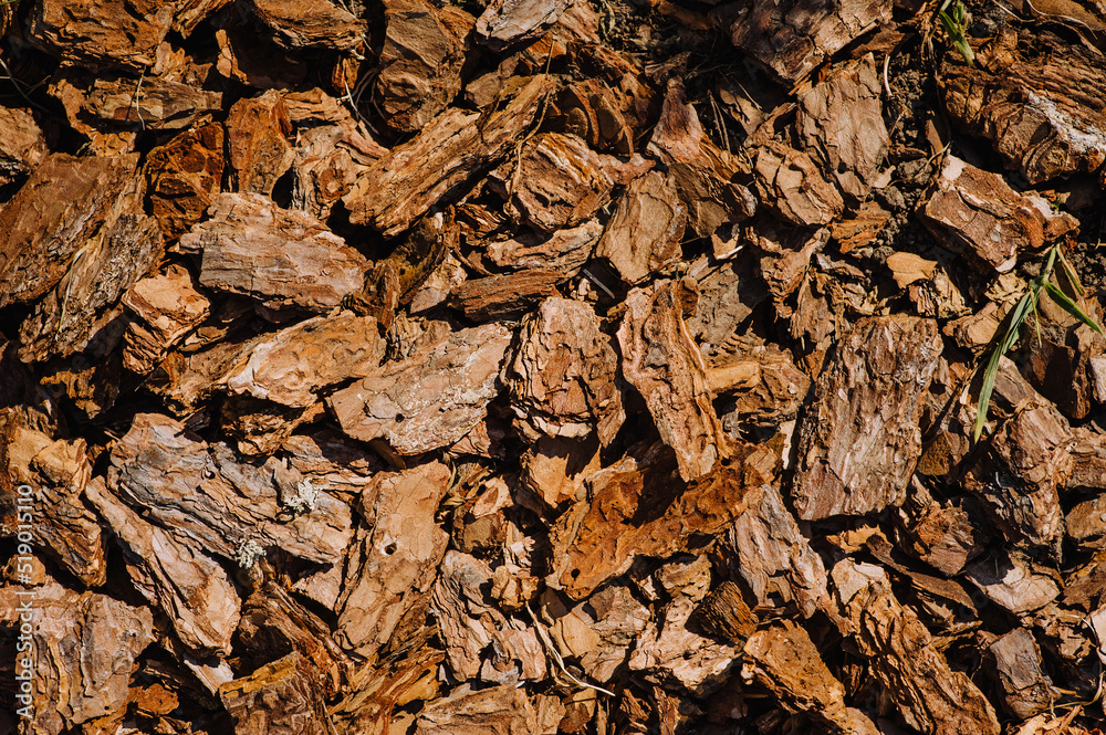 Background, texture of a pile of brown peeled bark. Photography of nature. Background, texture of a pile of brown peeled bark. Photography of nature.
