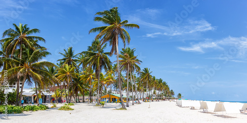 Playa Spratt Bight beach travel with palms vacation panorama sea on island San Andres in Colombia © Markus Mainka