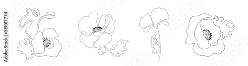 Illustration of a bellflower. Purple bellflower flowers in doodle style. Summer wildflower. Vector illustration, isolated on white background