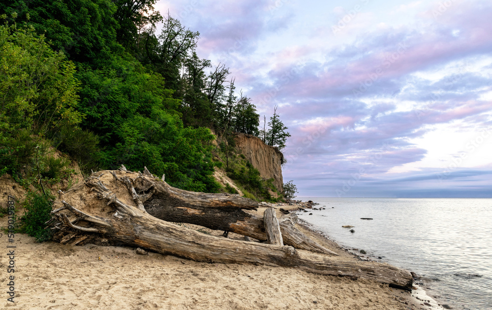 Orlowo cliff and sandy beach on the coast of the Baltic Sea in Gdynia