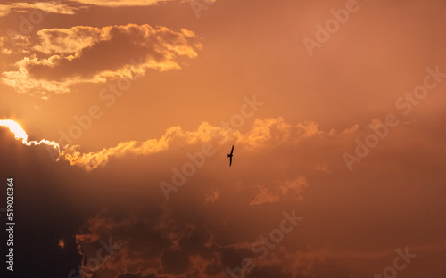 Orange sunset with beautiful golden light Sunset vision Orange sky Clouds moving away rolling colorful sunset light dramatic clouds