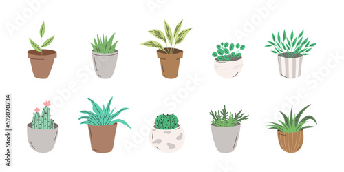 Set of trendy potted house plants. Different indoor flowers isolated on white background. Alocasia, begonia, fan palm, monstera, ficus, strelitzia and oxalis. Flat vector illustration