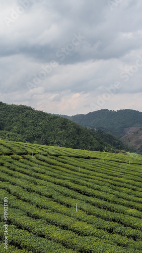 Mountain village Mae Salong in Thailand