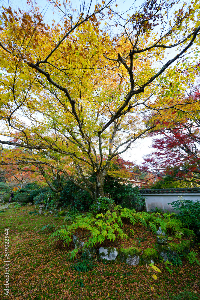 大原実光院の秋の風景