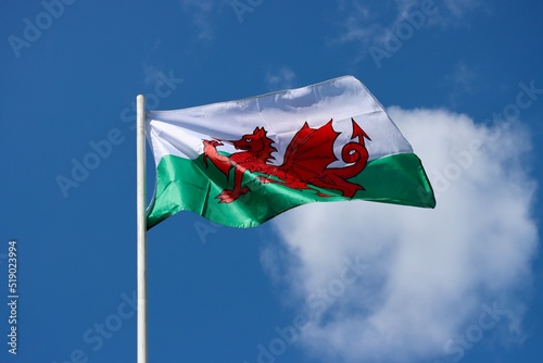 Wales flag - red dragon passant on white and green - bold and proud floating in the wind against blue sky