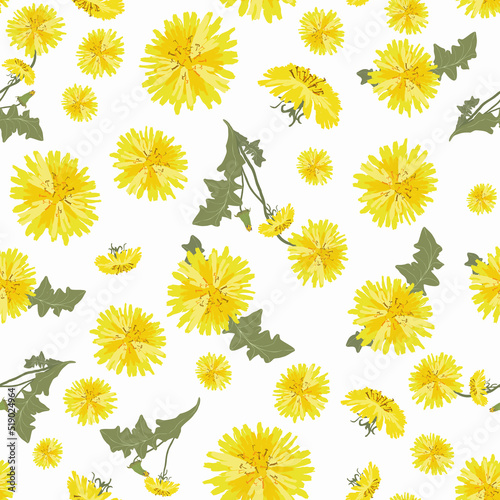 Dandelion pattern.For fabrics, for printing brochures, posters, parties, vintage textile design, postcards, packaging