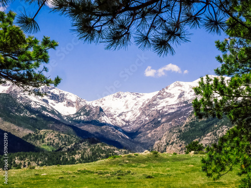 Snow-capped mountains framed by the branches of an evergreen tree. Moraine Park, Rocky Mountain National Park, Colorado