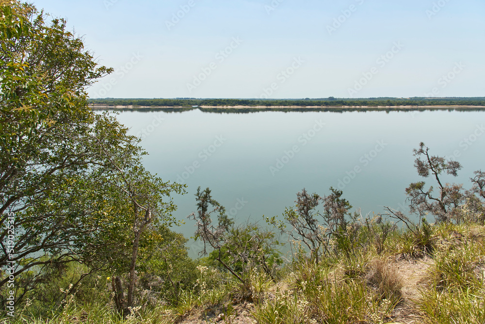 Summer landscape without people in El Palmar National Park, Entre Rios, Argentina. Vegetation on the bank of a stream on a sunny day. Concepts: nature tourism, enjoying the outdoors. 