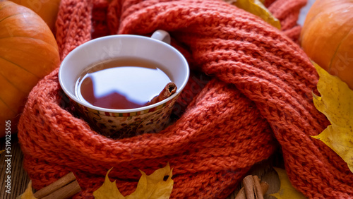 Autumn still life with fragrant cinnamon tea, scarf, pumpkins and yellow maple leaves. Fall concept. Shallow depth of field. Top View. Selective focus.