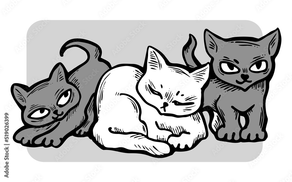 Fototapeta premium Cute cats friends sitting together. Decorative border, banner, postcard, poster print for kids room or birthday. Logo design for veterinary. Hand drawn illustration. Cartoon style character drawing.