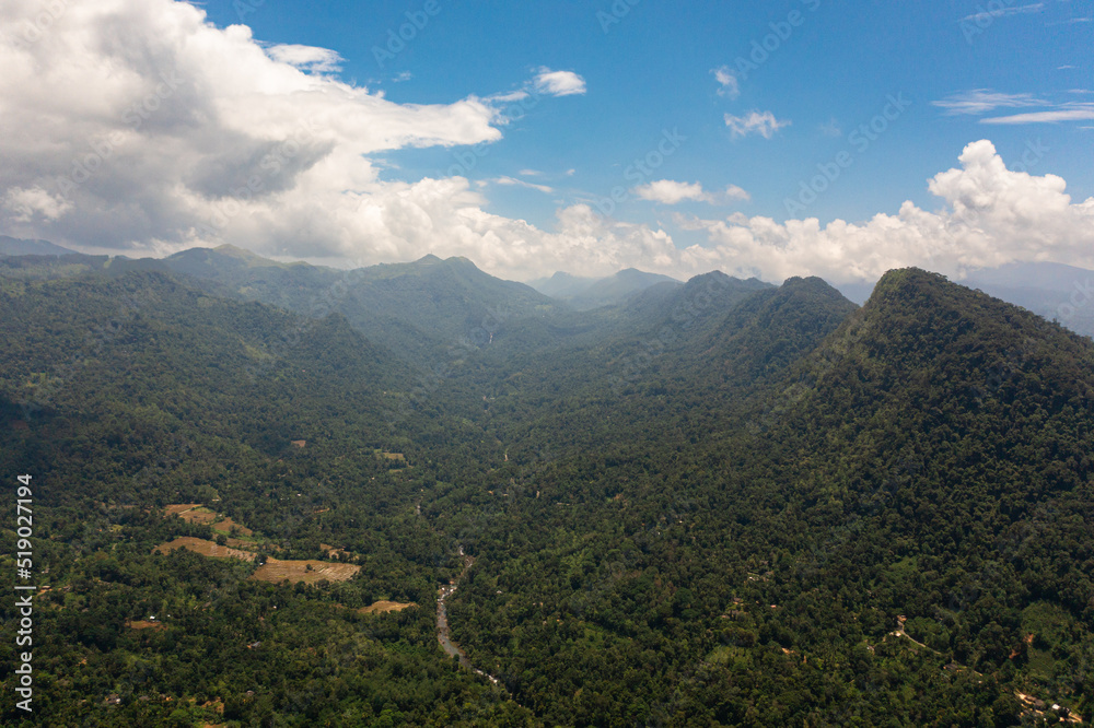Tropical landscape: Agricultural land with plantings against a background of mountains and blue sky. Sri Lanka.
