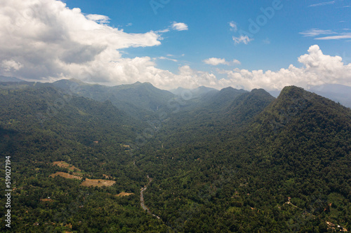 Tropical landscape: Agricultural land with plantings against a background of mountains and blue sky. Sri Lanka.
