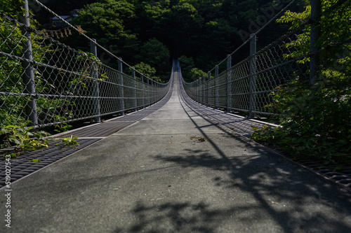 Fototapeta Naklejka Na Ścianę i Meble -  吊り橋
