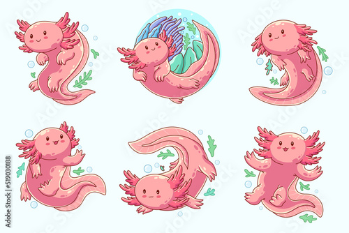 hand drawn cute axolotl illustration design