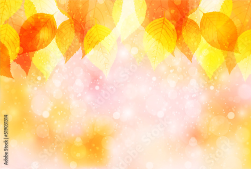 紅葉　もみじ　秋　背景