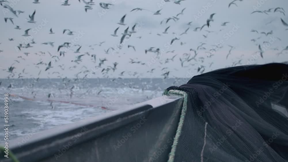 A fishing trawler is leaving its giant net into the sea and seagulls are flying around in slow motion. A rack focus through background.