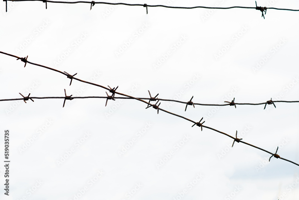 Barbed wire on a light background Barbed wire on a light background