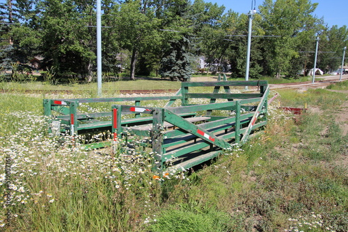 Wagon In Daisies, Fort Edmonton Park, Edmonton, Alberta