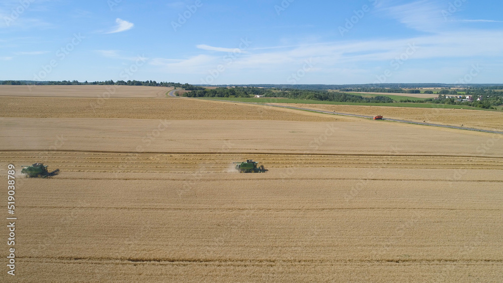 Obraz premium Combine harvester at work harvesting field wheat. Aerial view Combine harvester mows ripe spikelets, barley, rye. Combine harvester harvest ripe wheat on a farm.