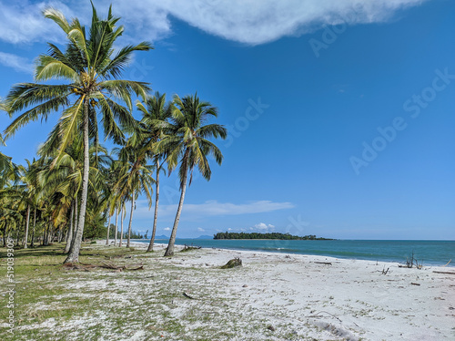 Fototapeta Naklejka Na Ścianę i Meble -  beach with palm trees