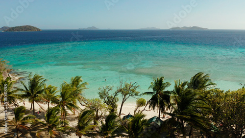 aerial view beach with tourists on tropical island  palm trees and clear blue water. Malcapuya  Philippines  Palawan. Tropical landscape with blue lagoon