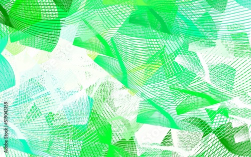 Light Green vector background with abstract shapes.