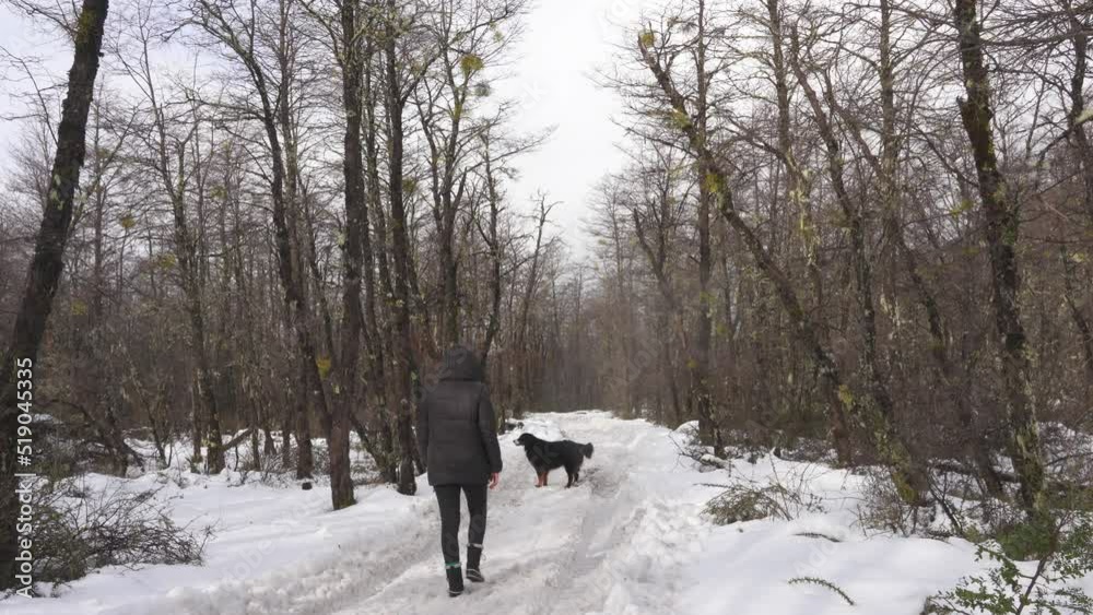 Woman and dog walking along a snowy path in a forest in Patagonia. Woman and dog walking along a snowy path in a forest in Patagonia.