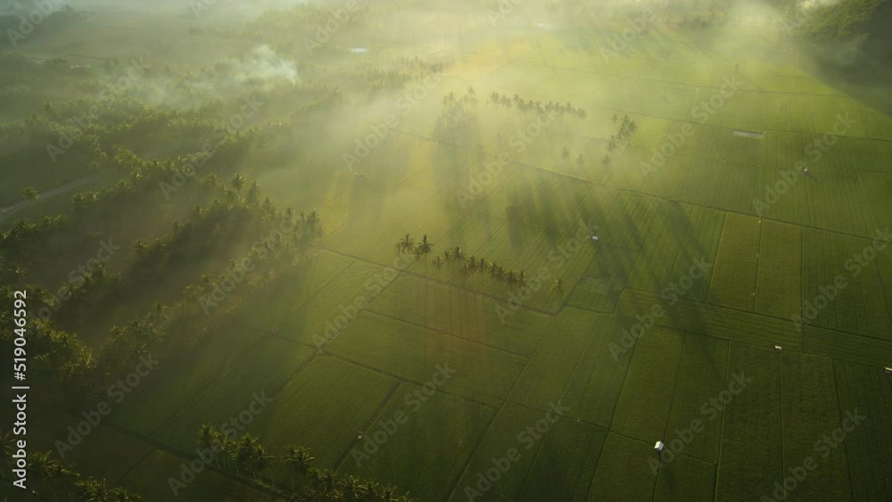 Aerial Video of Indonesia Agriculture Land during sunrise, hill and fog background Aerial Video of Indonesia Agriculture Land during sunrise, hill and fog background