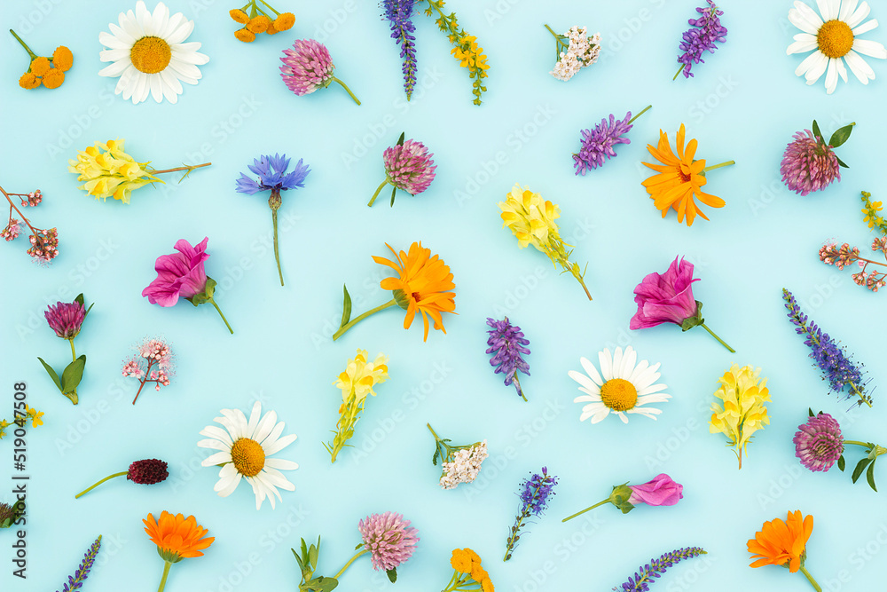 Bright Summer Flowers Background | Best Flower Site