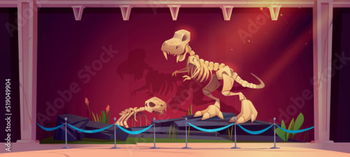Historical museum exhibition with dinosaur skeletons. Vector cartoon illustration of paleontology museum interior with prehistoric animals bones, fossil extinct dino on stones and grass