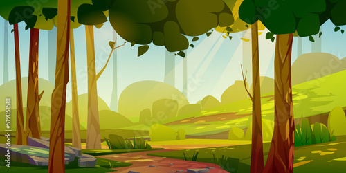 Cartoon forest landscape, summer day background with dirt road going along trees, bushes and green glade with stones or rocks under blue sky with sun beams, scenery wood, Vector illustration