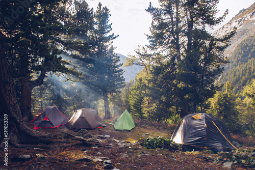 Camping tents in forest. Tourism concept, outdoors leisure. Life in a tent. Pine trees grove camping place stock photo