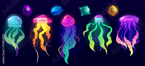Jellyfish underwater animals, colorful jelly fish deep ocean creatures with long poisonous tentacles isolated set. Tropical medusa aquatic wildlife, beautidul sea life, Cartoon vector illustration photo
