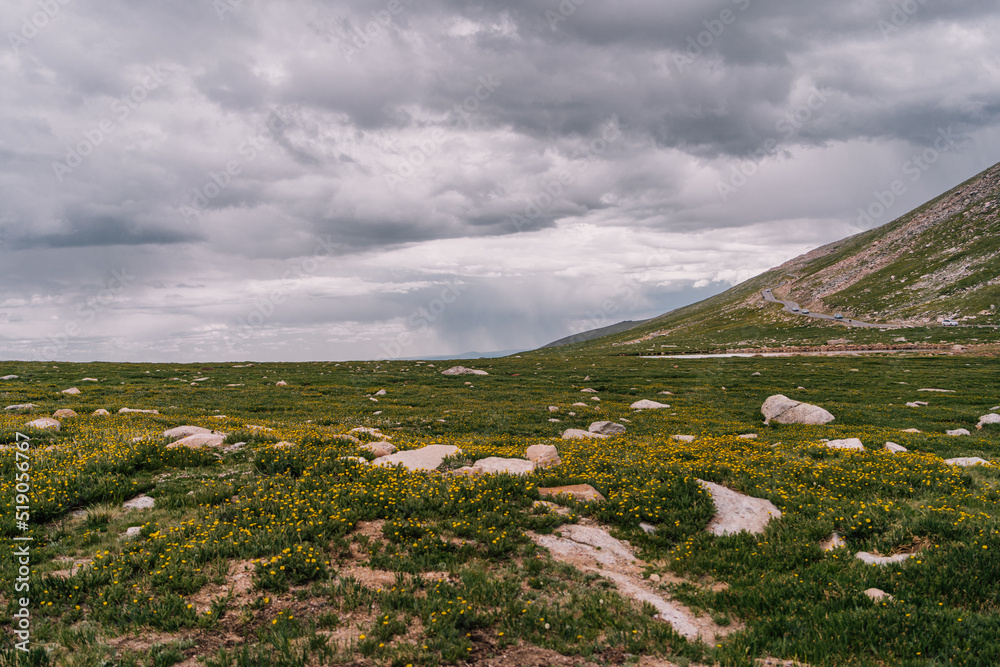 Fototapeta premium Colorado Nature Photography in the Summer