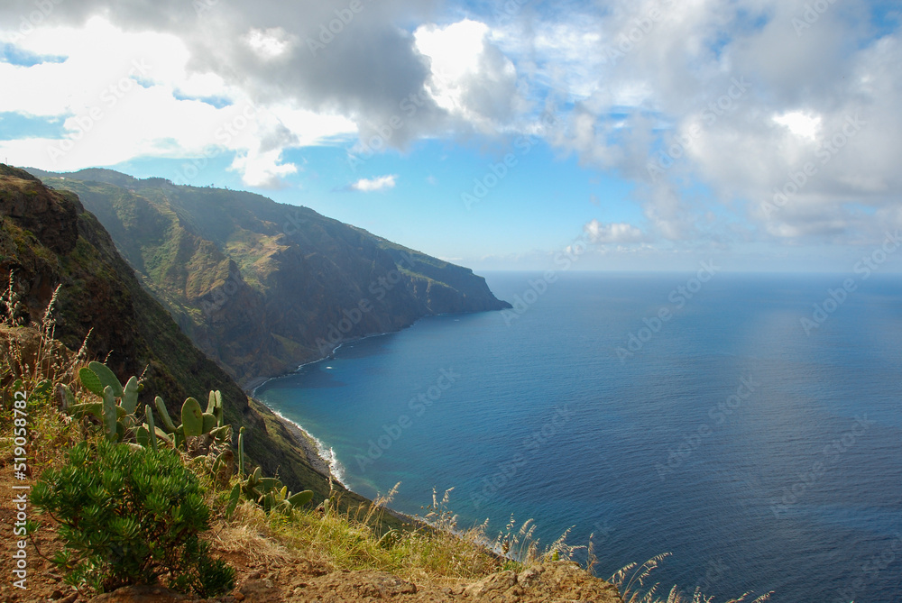 Beautiful green coastline of Madeira Island