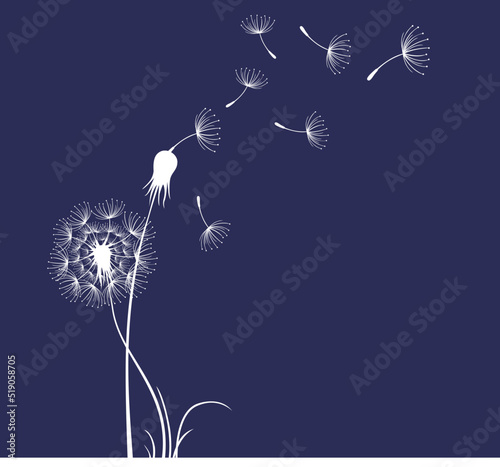 Flying dandelion seeds, vector icon. Vector isolated decoration element from scattered silhouettes.
