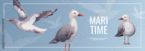 Banner design with Seagulls. Maritime, sea coast, marine life, nautical concept. Vector illustration. flyer, cover, banner template.