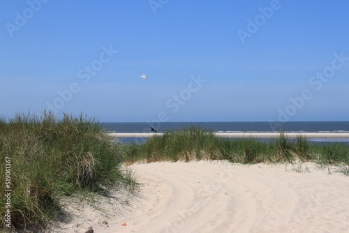 tufts of grass in the sand of the dunes of the german island langeoog with the north sea in the background