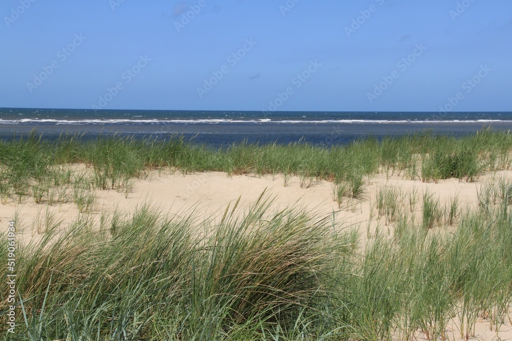 tufts of grass in the sand of the dunes of the german island langeoog with the north sea in the background