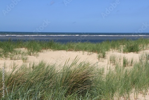 Fototapeta Naklejka Na Ścianę i Meble -  tufts of grass in the sand of the dunes of the german island langeoog with the north sea in the background