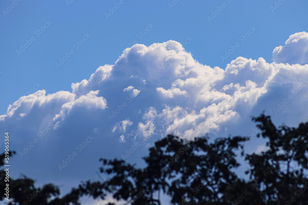 Black silhouettes of trees with foliage against the background of huge cumulus clouds in the blue sky, close up. Beautiful cloudscape Black silhouettes of trees with foliage against the background of huge cumulus clouds in the blue sky, close up. Beautiful cloudscape