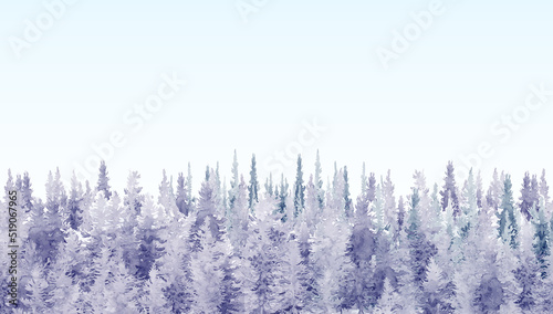 Watercolor painting landscape pine woods forest art background.