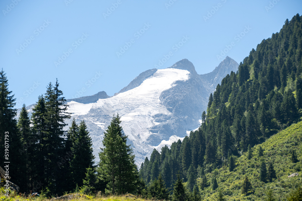 Alpine mountain peak with a glacier covered with snow and some grey dust and with a green pine tree forest in the foreground