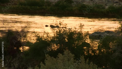 Orange river in the late afternoon, South Africa photo