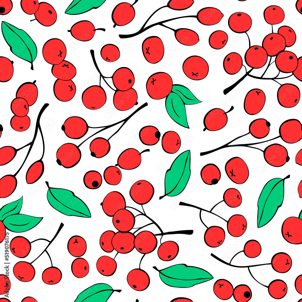 Vector seamless pattern of different small red berries, single and twigs. Rowan fetus, viburnum, blueberry, lingonberry, cranberry. Botanical texture isolated on white, hand drawn in doodle flat style Vector seamless pattern of different small red berries, single and twigs. Rowan fetus, viburnum, blueberry, lingonberry, cranberry. Botanical texture isolated on white, hand drawn in doodle flat style