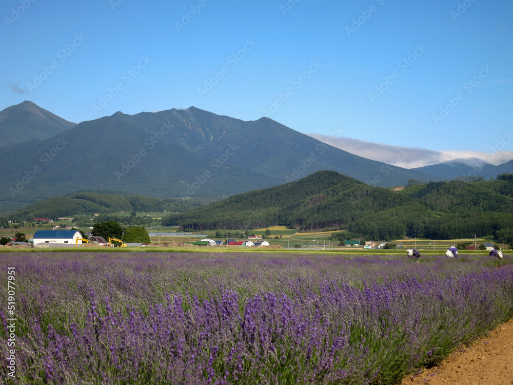 Landscape of Frano, Hokkaido in Japan