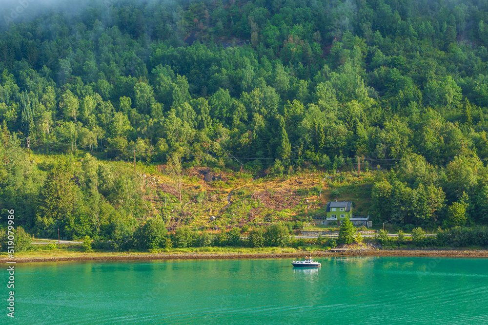 Norway fjord and forest mountains landscape