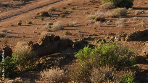 Dry lands of the Richtersveld National Park, South Africa photo